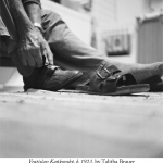 Velvet_17_Image_3b