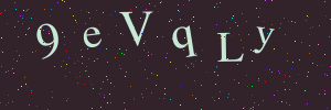 Validation image